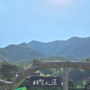 웅석봉로 | [8월 경남 가볼만한 곳]산청 수선사 연꽃 절정 방문 후기(커피와 꽃자리 카페)
