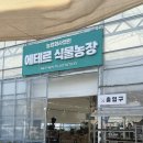 개미 농장 | [전주 가볼만한곳] 초록 가득한 최대 규모 식물농장부터 아이 동반 취향 저격 대형 카페까지! '에테르...
