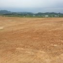 향남2지구 체육공원 이미지