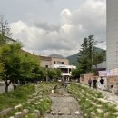 함백산 민박 | [태백 여행] 폭풍의 산악 듀애슬론 대회 ( 태백 블루레이스) 참가 (feat. 황지연못)