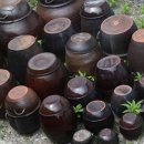 (주)원진신약 이미지