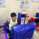 여주곤충박물관 | 경기도 체험학습 장소 추천 : 여주 곤충박물관 후기