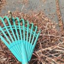 안고랑농장 이미지