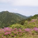 송신로-2 Daum카페