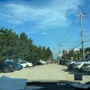 세븐일레븐 강릉해안로점 이미지