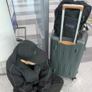 베트남 나트랑 여행 후기 |호핑투어 | 해적호핑 나트랑숙소 곤살라호텔