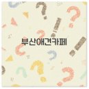 부산애견 이미지