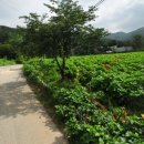 안성시노곡보건진료소 이미지