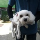 과원동로 이미지