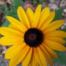 갈미중앙공원 이미지