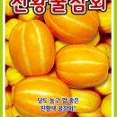 그린종묘농약사 이미지