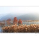 호숫가의아침 이미지