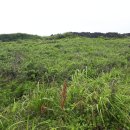 한동환해장성 이미지