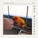 바람개비사과농장 | 남양주 아이와 가볼 만한 곳 앵무새체험농장33