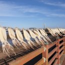 목화휴게소 이미지