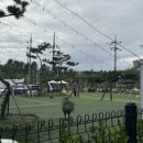 서일동물병원 이미지