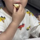 끼리카페(KIRI CAFE) | 경주 여행 선물 추천ㅣ황오당 크림치즈빵 팥빵 먹어 본 후기