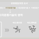 제이지 아카데미 특수체육연구소 이미지