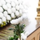 만덕3동-6 이미지