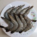 [오늘뭐먹지] 집에서 먹는 새우소금구이! 블랙타이거새우 15cm 10마리 리뷰 (+ 버터새우구이)
