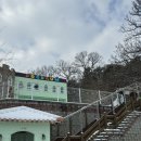 도그다움 이미지