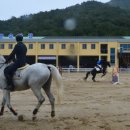 순창군승마장 전북도민일보