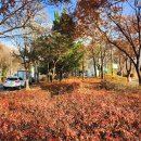 강변(소공원) 이미지
