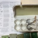 노보리지 이미지