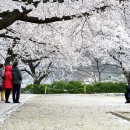 소달초교 이미지