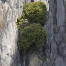 소주카페 이미지