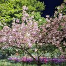 로하스랜드 이미지