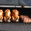 강과소나무 이미지