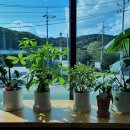 포시즌스크린골프 이미지