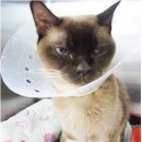 유창메디칼 이미지