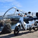 봄향기 가득 젠탱글 중급 | 제주도 스쿠터 대여, 자전거 탈 줄 안다면 누구나 가능한 낭만 여행