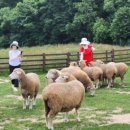 홀인원목장 이미지