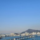 파랑새 | [부산 가볼만한곳] 용호동 백련사: 광안대교가 내 발아래? 이기대 숨은 조망 명소 후기