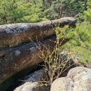 대현상사 | 경주 남산 트레킹