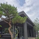 상북초등학교 | 울산 상북 카페_조용히 힐링하기 좋은 정원카페 미지의