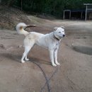 자룡농장 이미지