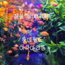 하나교 생태통로 앞 | ​잠실 실내 데이트 롯데월드 아쿠아리움 후기 🐠 물빛정원 &amp; 생태설명회 볼거리 가득