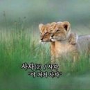 유로스파 이미지