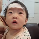 제일소아청소년과의원 네이버블로그