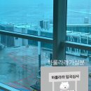 감먹은 토끼 | 야구보러 혼자 나고야감 (6월)