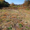 춘천대지부동산공인중개사사무소 이미지