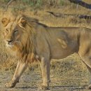 파워명품세탁소 이미지