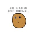 빅마마미용실 | 여름나기
