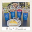 태인카서비스 | 밀양위양지카페 가산저수지 보이는 카페그로브 애견동반카페 아님