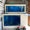 삼오복집 | 포항 죽도동 복어 맛집 삼오복집 현지인이 찾는 해장 복어탕 후기