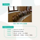 가족음악회 메츠브라스앙상블 이미지